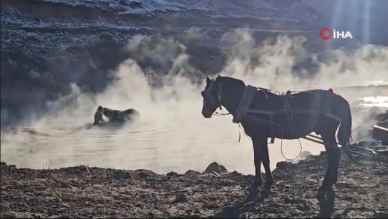 Burası Antartika değil Bitlis! Eksi 15 derecede atlarla kaplıca keyfi 5